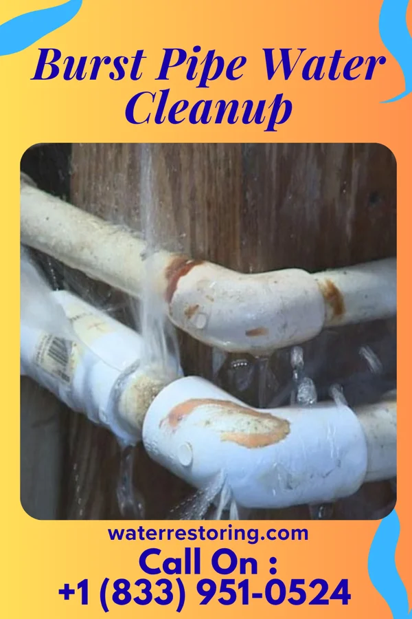 Burst Pipe Water Cleanup in Chisago City, MN