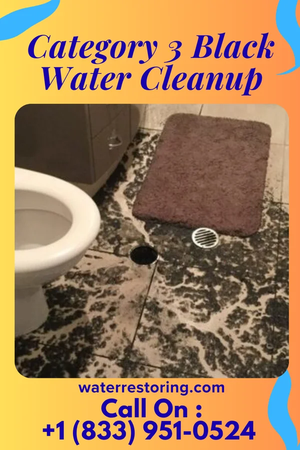 Category 3 Black Water Cleanup in Chisago City, MN
