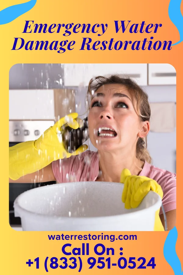 Emergency Water Damage Restoration in Chisago City, MN