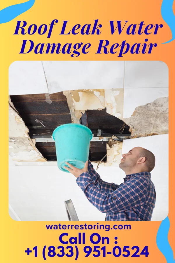 Roof Leak Water Damage Repair in Chisago City, MN